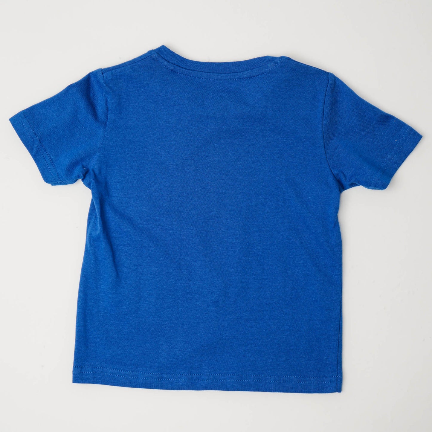 Baby Boys Blue T-Shirt