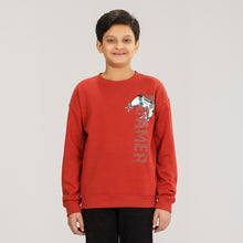 Load image into Gallery viewer, Boys Brown Sweatshirt
