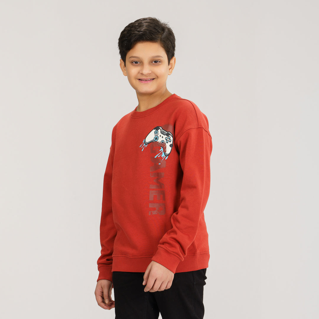 Boys Brown Sweatshirt