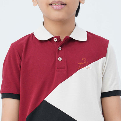Boy's Multicolor Cotton Polo