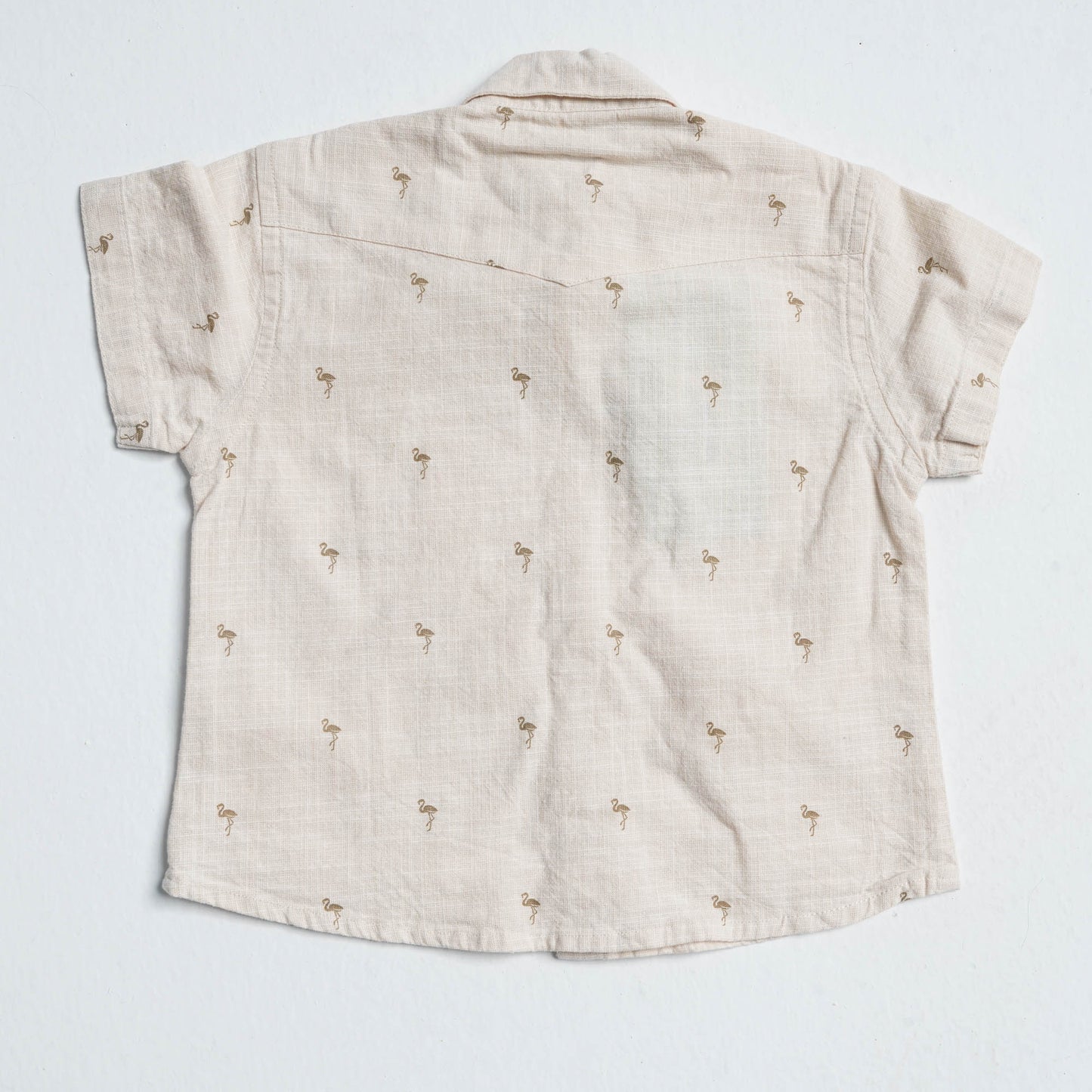 Newborn Cotton Two Piece Set
