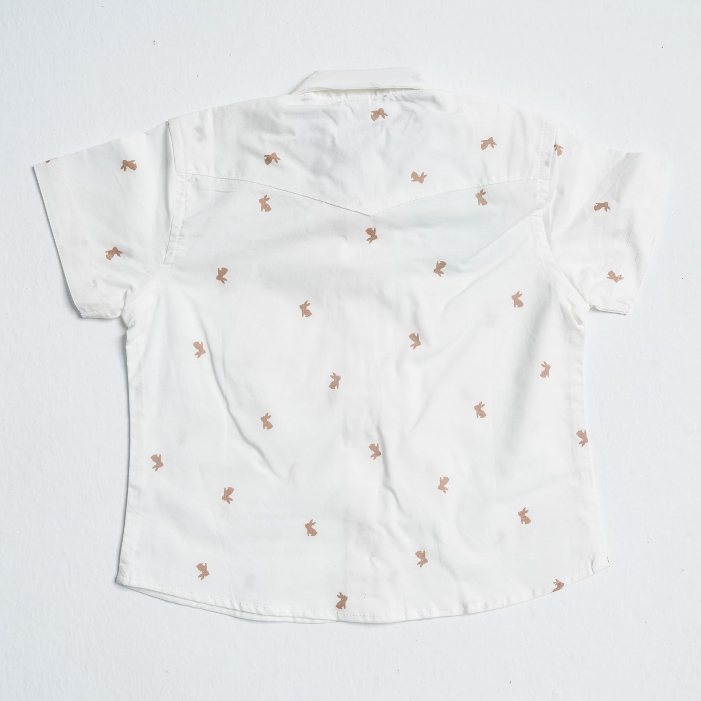 Newborn Cotton Two Piece Set