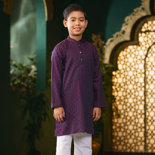 Boys Purple Basic Panjabi