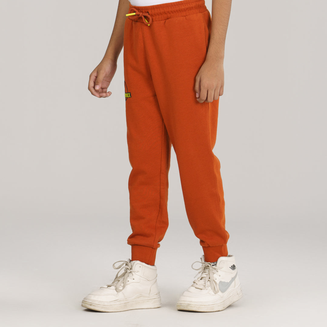 Boys Brown Joggers